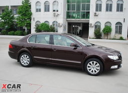 葳葳蕤蕤拼音，葳蕤怎么读