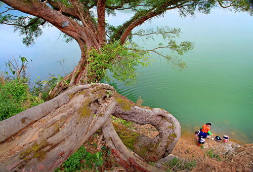 有个成语叫盘什么卧龙?要拼音