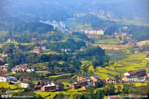 鲁村村属于哪里