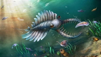 奇虾简介，奇虾vs邓氏鱼