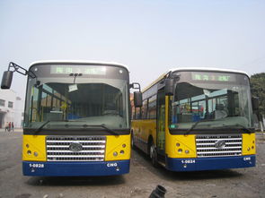 芜湖88路公交车路线路线