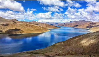 旅游结伴好不好?