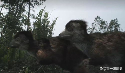 灭绝的解释灭绝的解释是什么