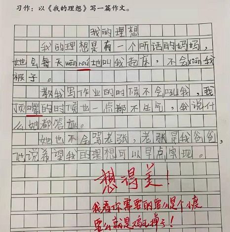 我的理想作文