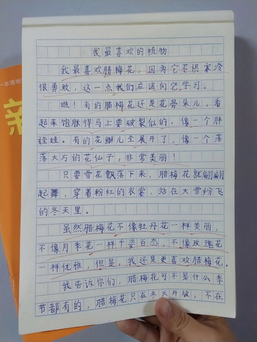 三年级植物作文