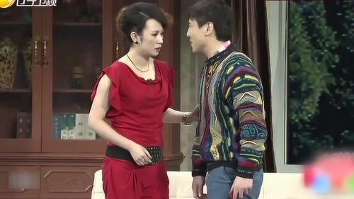 沈腾马丽合作过几次?