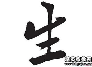 牛字开头四字成语