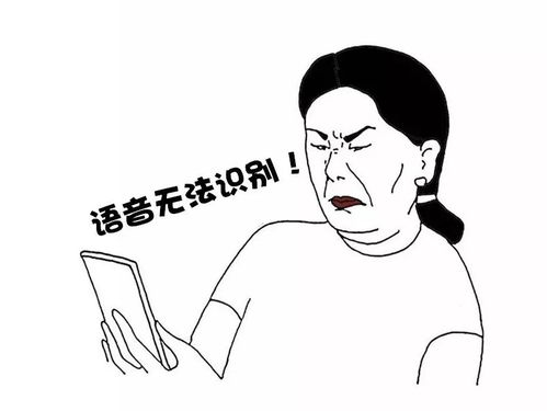 阿姨的拼音是轻声吗，阿姨的拼音声调怎么写