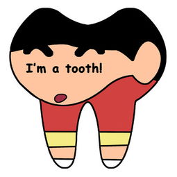 tooth怎么读