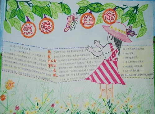 热爱生命手抄报图片大全、内容，热爱生命手抄报一等奖