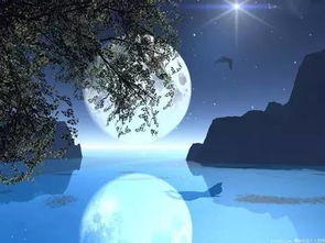 天若有情天亦老的意思