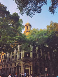 广州景点有哪些好玩的地方