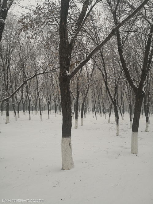 聚蚊成雷是什么意思