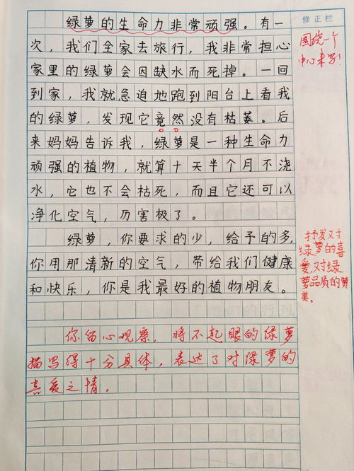 三年级植物作文