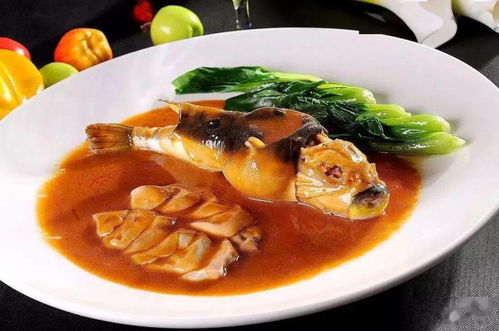 河豚的拼音和组词，河豚图片