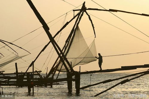 get的过去分词是got还是gotten?