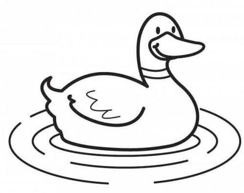 可以吗的小鸭子的简笔画