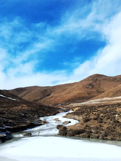 长川村位于哪个市