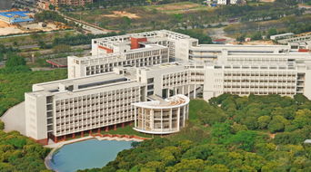 深大是211大学还是985大学