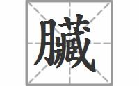 第6课《梅花魂》多音字、同音字、近反义词是什么?