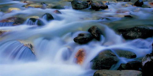 泰阿蒙河下游洞窟，泰阿泰德篇