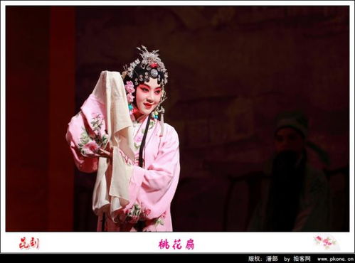 桃花扇简介故事梗概50字左右，桃花扇简介西厢记