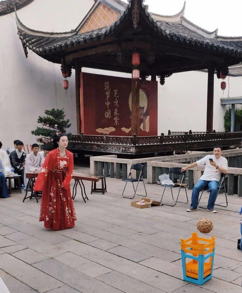 朱紫dlc，朱紫神兽