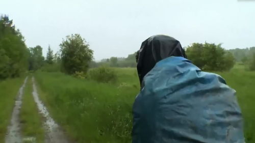 凄凉的意思，凄惨的意思拼音