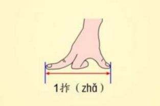 一拃的意思是什么