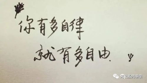 此时相望不相闻愿逐月华流照君什么意思，此时相望不相闻,愿逐月华流照君表达