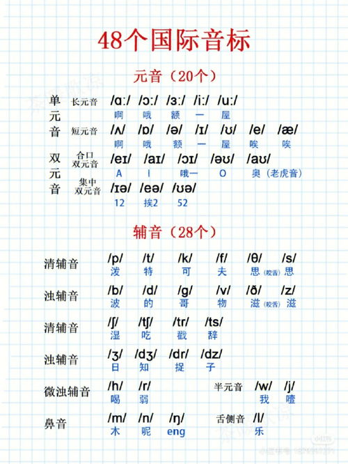 学校的英文读音