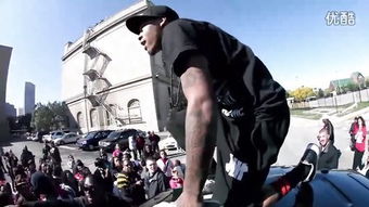 mobbed是什么意思，mobbed by 折相思