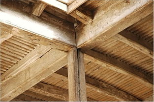 梁柱是什么意思?