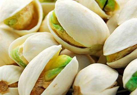 开心果英文翻译，开心果英文怎么说怎么写