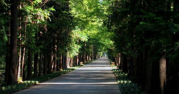 宝应天气预报15天查询，宝应天气预报15天气报