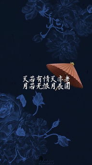 男人说天若有情天亦老是什么意思，天若有情天亦老,人若无情