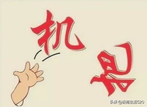 带星的成语，带欣的成语