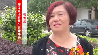 长川照晚霞什么意思，长川科技股吧 东方财富股吧