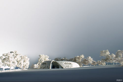 bury是什么意思，bury the light