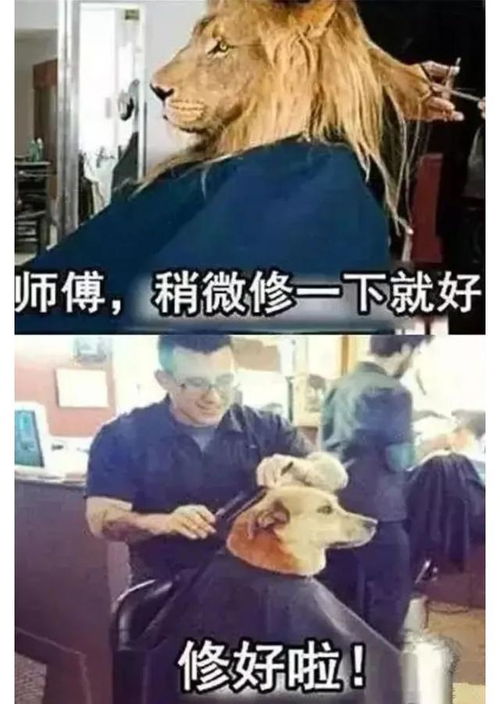 TONY是什么意思?