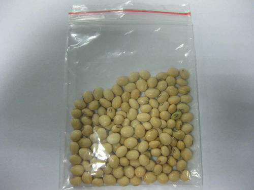 soybean milk，soybean被子