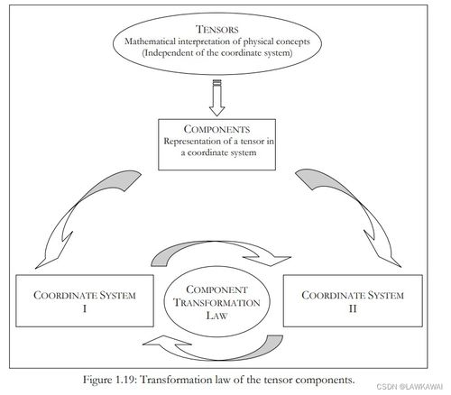 分量的解释分量的解释是什么