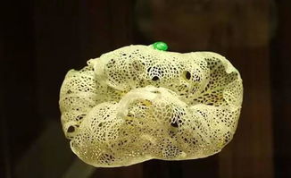 根柢怎么读，根据车牌号查车主电话