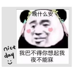 夜不能寐上一句