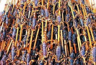 窦娥冤 滚绣球文言文翻译 谢谢!急急急急急急急急急急!!!