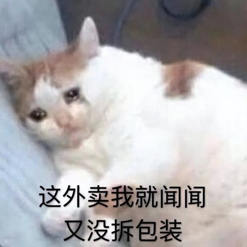 墙倒众人推 破鼓万人捶下一句是什么?