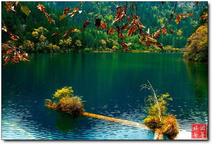 十月九寨沟天气