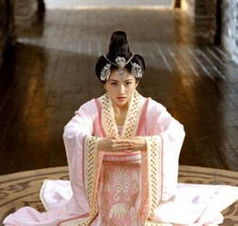 越姬百度网盘，越姬 林家成 小说