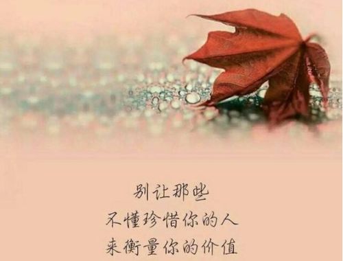 相爱的句子不离不弃，互相相爱的句子