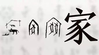 豕字意思